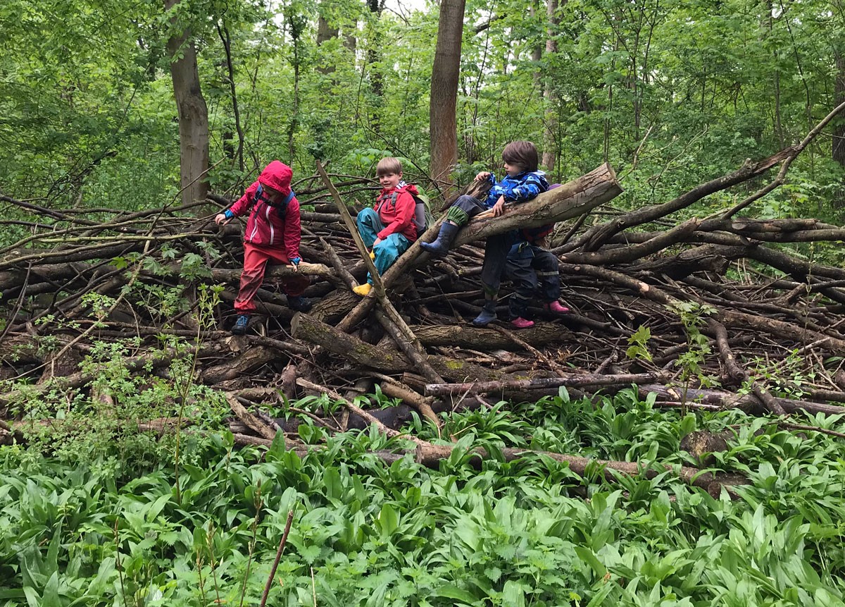 Waldgeflüster – Waldgrupe