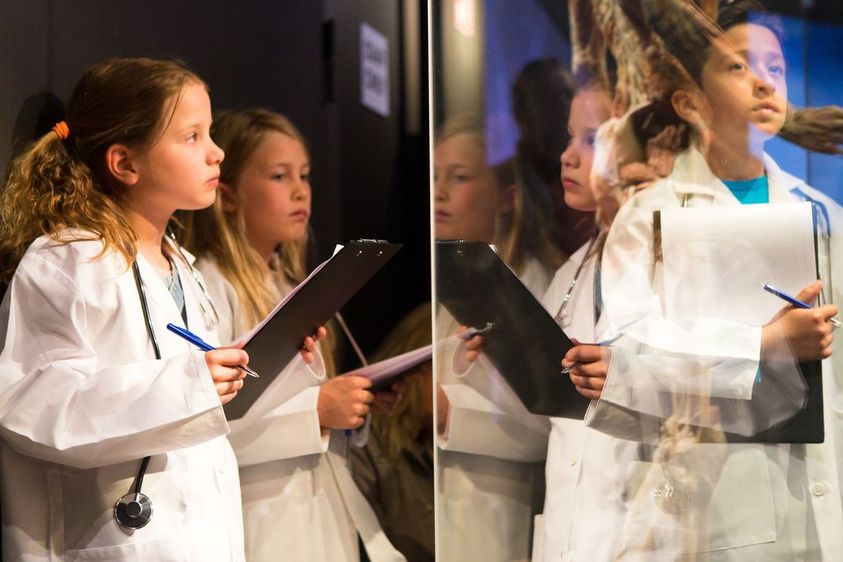 KINDERGEBURTSTAG IN DEN KÖRPERWELTEN IM MENSCHEN MUSEUM  