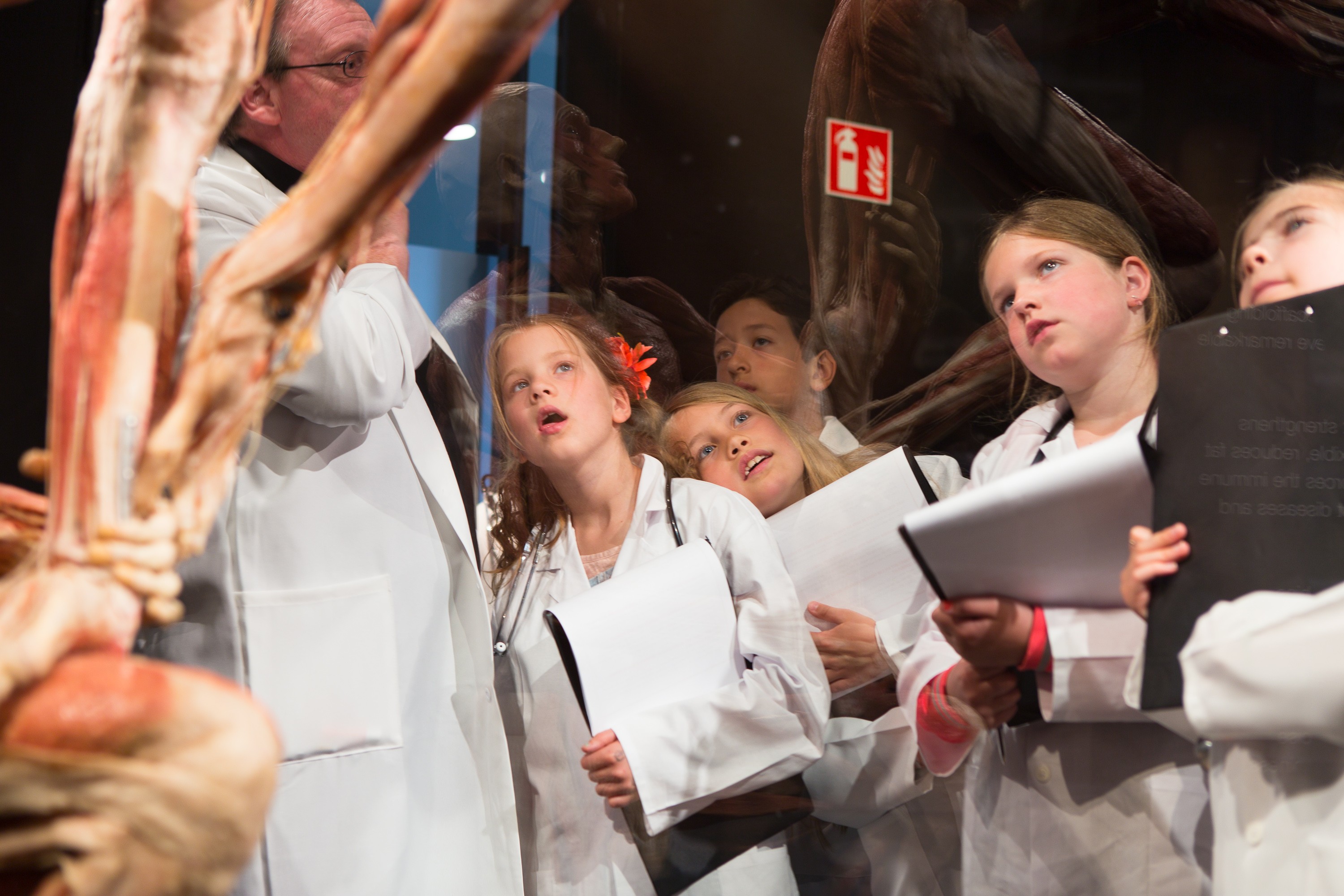 KÖRPERWELTEN im Menschen Museum