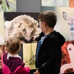 Kinder- und Familienführung im Ruhr Museum: Hund, Katze, Maus - Mensch und Tier im Revier