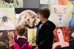 Kinder- und Familienführung im Ruhr Museum: Hund, Katze, Maus – Mensch und Tier im Revier