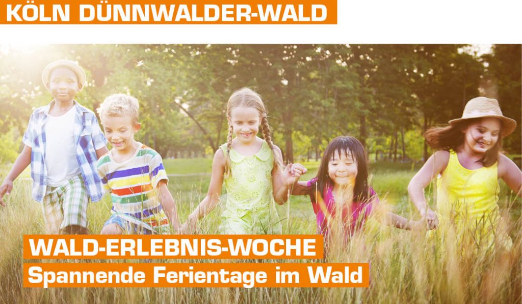 Wald-Erlebnis-Woche