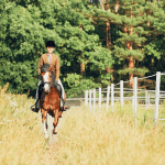 Vielseitiges Reitangebot für Kinder