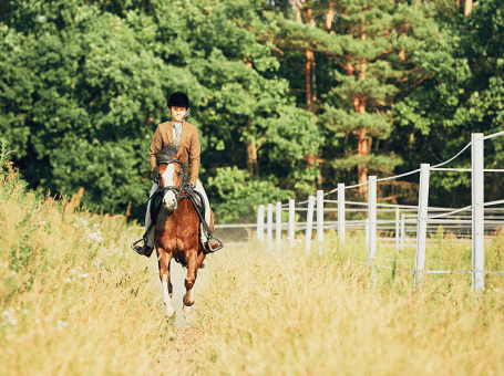 Vielseitiges Reitangebot für Kinder