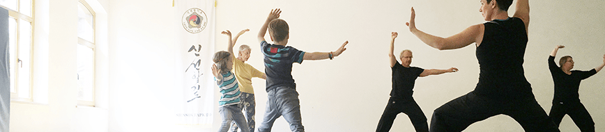 Kampfkunst-Familientraining