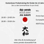 Kostenloses Karate Kinder Probetraining