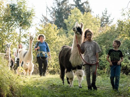 Lama-Abenteuer zum Kindergeburtstag