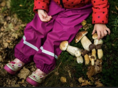 Spielerisch spannende Pilzwanderung in Leipzig