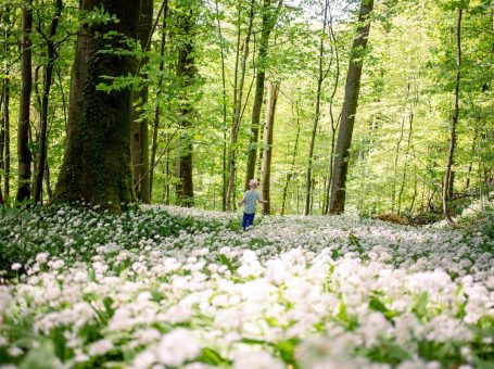 Kinder-Kräuterwanderung in Leipzig
